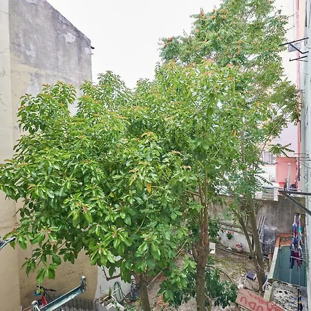 Apartamento B15-azulejo Verde Ribeiro Apartamento *
